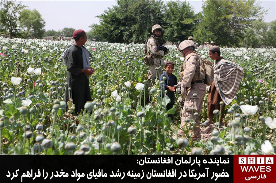 تصویر نماینده پارلمان افغانستان: حضور آمریکا در افغانستان زمینه رشد مافیای مواد مخدر را فراهم کرد
