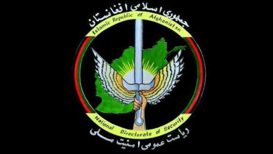 تصویر بازداشت دو فرمانده ارشد طالبان در ولایت «هلمند» افغانستان