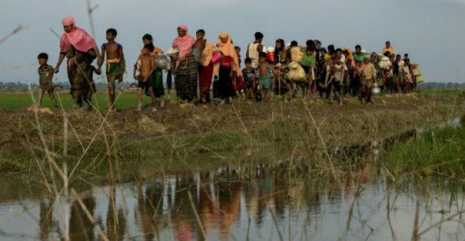 تصویر تشکیل جلسه اضطراری شورای امنیت برای بررسی «پاکسازی نژادی» مسلمانان میانمار