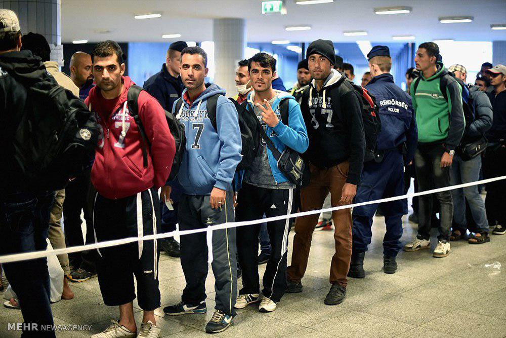 تصویر سازمان عفو بین‌الملل: اخراج اجباری پناهجویان افغان از اروپا متوقف شود