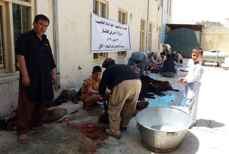 تصویر توزیع گوشت در میان صدها خانواده در شهر کابل