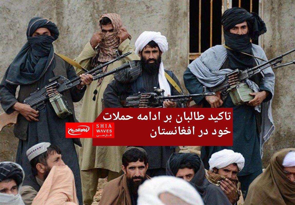 تصویر تاکید طالبان بر ادامه حملات خود در افغانستان