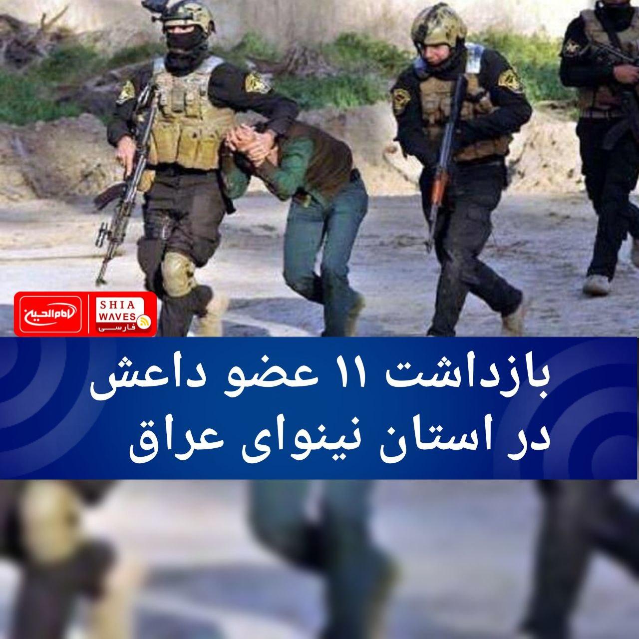 تصویر بازداشت ۱۱ عضو داعش در استان نینوای عراق