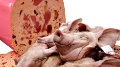 تصویر خوراندن گوشت خوک به خانواده قرنطینه شده در هتلی در لندن