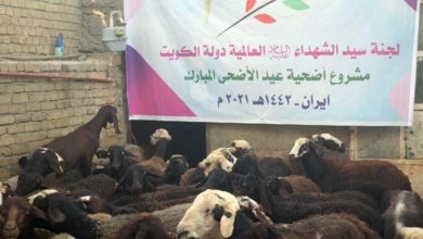 تصویر قربانی کردن بیش از 1650 گوسفند توسط کمیته جهانی حضرت سیدالشهدا علیه السلام