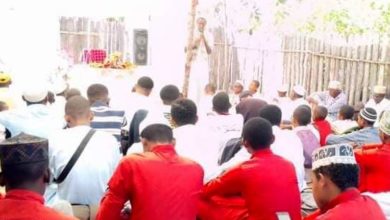 تصویر برگزاری جشن میلاد پیامبر صلی الله علیه وآله و امام جعفر صادق علیه السلام در ماداگاسکار