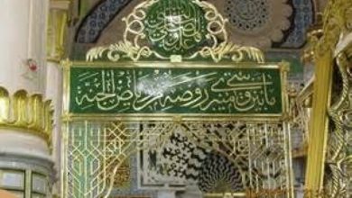 تصویر ورود بانوان به روضه شریفه مسجد النبی مجاز شد