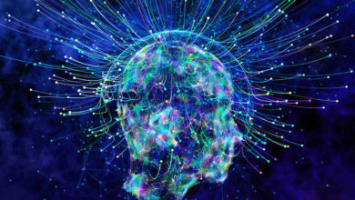 تصویر نقشه‌برداری از مغز با هدف درک ذهن