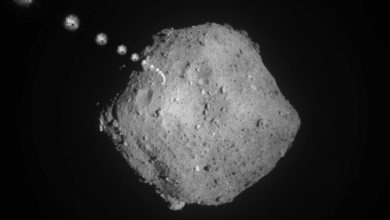 تصویر پیدا شدن برخی مواد اولیه سازنده حیات در یک سیارک