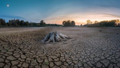 تصویر روزنامه گاردین: كشور انگلیس ممکن است ماه آینده اعلام خشکسالی کند
