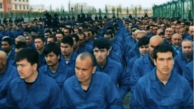 تصویر  گزارش سازمان ملل درباره برده‌داری و کار اجباری علیه مسلمانان اویغور
