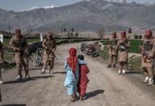تصویر افغانستان در میان کشورهای خطرناک در زمینه آموزش