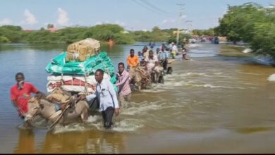 تصویر جان باختن ۲۱ نفر بر اثر سیل در سومالی