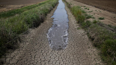 کاهش 82 درصدی زمین‌های کشاورزی عراق در پی خشکسالی