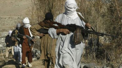 شورای امنیت سازمان ملل: حملا.ت د1عش علیه شیعیان و غیرنظامیان در افغانستان همچنان ادامه داشته است