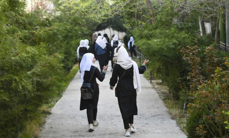 سازمان ملل خواستار دسترسی به آموزش در افغانستان در روز جهانی زنان و دختران در علم شد