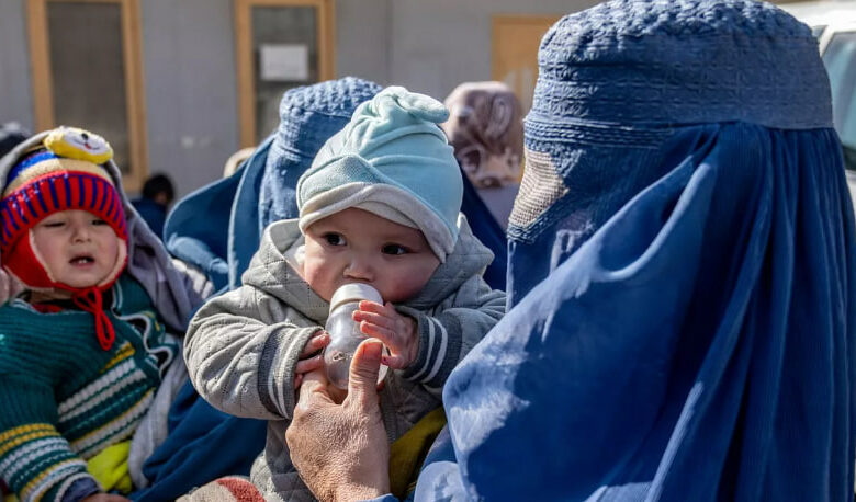 سازمان جهانی غذا: حدود چهار میلیون زن و کودک در افغانستان در سال ۲۰۲۴ با سوء تغذیه حاد مواجه اند