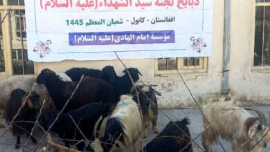 توزیع گوشت قربانی در شهر کابل افغانستان به مناسبت نیمه شعبان ۱۴۴۵