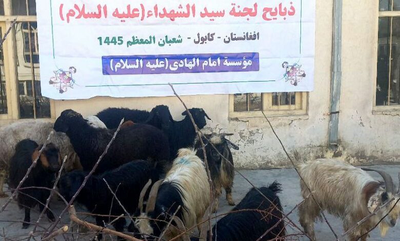 توزیع گوشت قربانی در شهر کابل افغانستان به مناسبت نیمه شعبان ۱۴۴۵