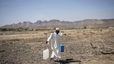 برنامه جهانی غذا: کمتر از ۵ درصد سودانی‌ها می‌توانند یک وعده غذایی کامل را تهیه کنند