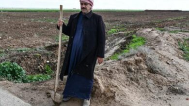 عراق؛ نیمی از اراضی زراعی در اثر خشکسالی آسیب دیده است