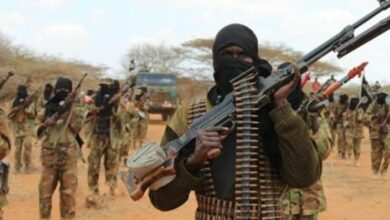 کشته شدن ۵۰ ترور.یست الشباب در سومالی