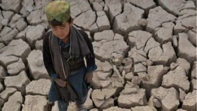 سازمان ملل: استان‌های مرکزی و شیعه نشین افغانستان با خشک‌سالی بالقوه مواجه است