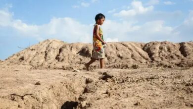 خطر جانی گرما، برای کودکان آسیای شرقی