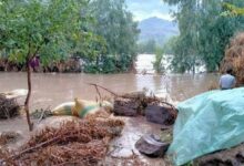 سازمان امدادرسان اسلامیک رلیف گزارش تازه خسارات ناشی از سیلاب های افغانستان را منتشر کرد