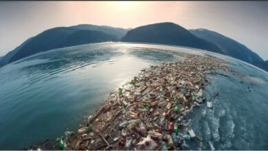 نتایج یک مطالعه: ۶۰ شرکت مسئول نیمی از آلودگی پلاستیکی جهان هستند