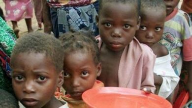 فائو: گرسنه‌ترین مردم جهان در سال۲۰۲۳ مردم سودان بودند
