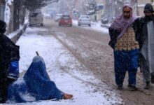 فدراسیون جهانی صلیب سرخ : موج سرما در افغانستان صدها هزار تن را تحت تاثیر قرار داده است