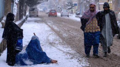 فدراسیون جهانی صلیب سرخ : موج سرما در افغانستان صدها هزار تن را تحت تاثیر قرار داده است