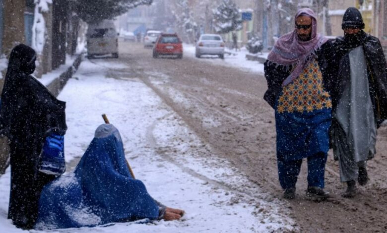 فدراسیون جهانی صلیب سرخ : موج سرما در افغانستان صدها هزار تن را تحت تاثیر قرار داده است