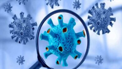 دانشمندان چینی ویروس «ابولای جهش‌یافته» تولید کردند