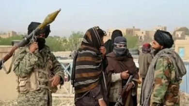 ادعای پاکستان مبنی بر از پای در آوردن ده‌ها تروریست مستقر در افغانستان