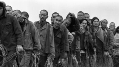 گزارش سازمان بین‌المللی کار از تداوم کار اجباری در دنیا؛ چین با بهره‌کشی از مسلمانان اویغور در صدر
