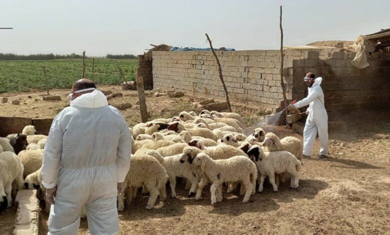 مرگ ۵ نفر در عراق بر اثر ابتلا به تب کریمه کنگو