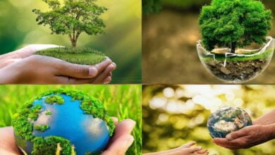 پنجم ماه ژوئن، روز جهانی محیط زیست