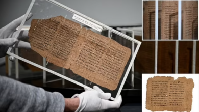 «قدیمی ترین کتاب جهان» با قیمت ۳ میلیون پوند به حراج گذاشته شد