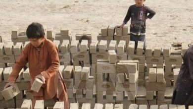 سازمان ملل: حدود ۲۰ درصد کودکان در افغانستان مشغول کارگری هستند