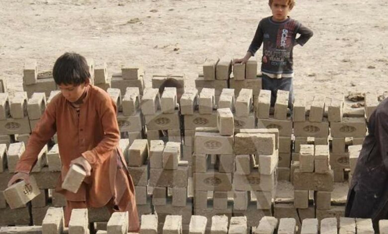 سازمان ملل: حدود ۲۰ درصد کودکان در افغانستان مشغول کارگری هستند