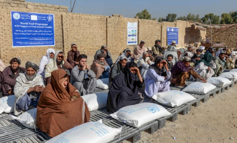 سازمان ملل: طالبان در کار سازمانهای کمکرسانی در افغانستان مداخله میکند