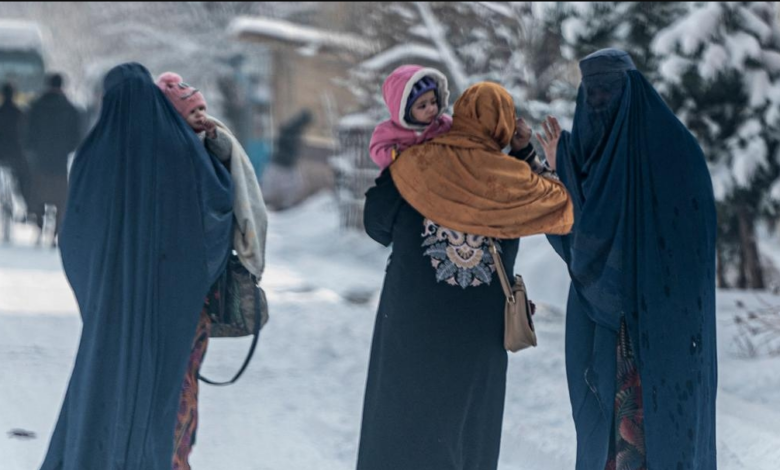 نگرانی سازمان ملل از افزایش گرسنگی با نزدیک شدن فصل سرد زمستان در افغانستان