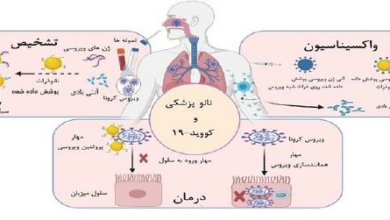 تولید نانو واکسن برای همه‌ی انواع بیماری کووید 19