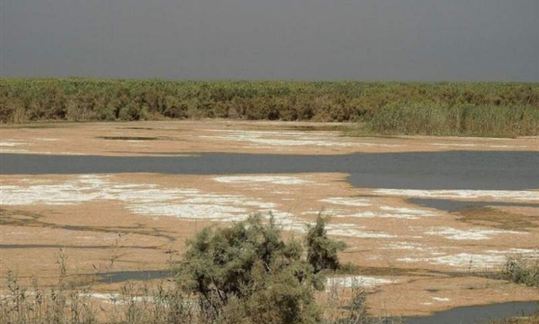 حدود نیمی از تالابهای ایران خشک شدهاند