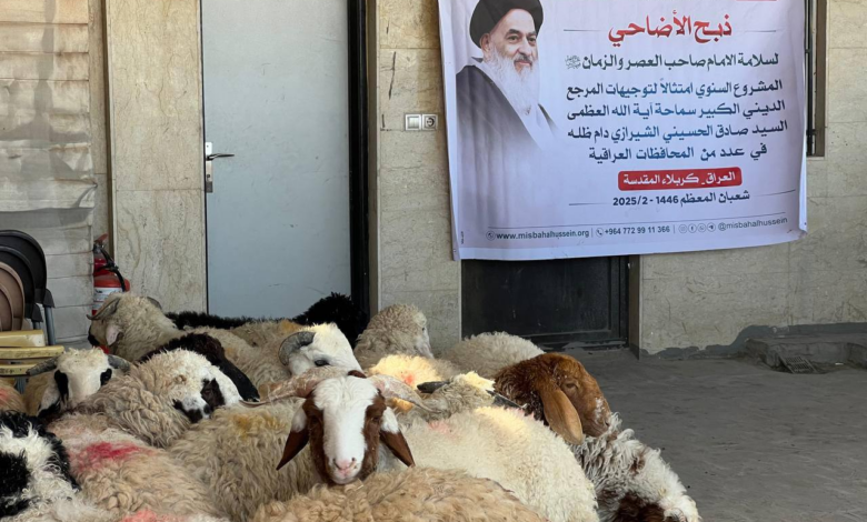 ذبح دهها قربانی به مناسبت نیمه شعبان برای سلامتی امام زمان در کربلا و سایر استانهای عراق