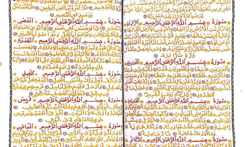 خامکدوزی قرآن کریم؛ شاهکار پنج ساله دختر هنرمند افغانستانی