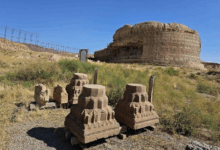 ربع رشیدی، میراث علمی جهان اسلام در آستانه فراموشی