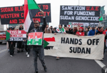 گزارش محرمانه سازمان ملل، نقش امارات در جنگ سودان را زیر سوال برد